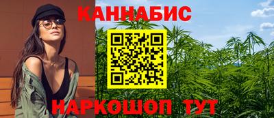 прущие крисы Камышлов