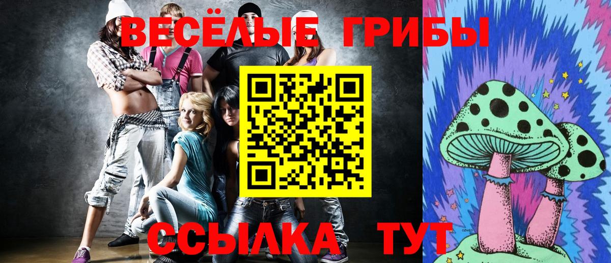 Псилоцибиновые грибы мицелий  Вход с VPN  где купить наркотик  Курчатов 